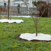 Andermatt Biogarten Mulchscheiben-Set 60cm weiss (3-teilig)
