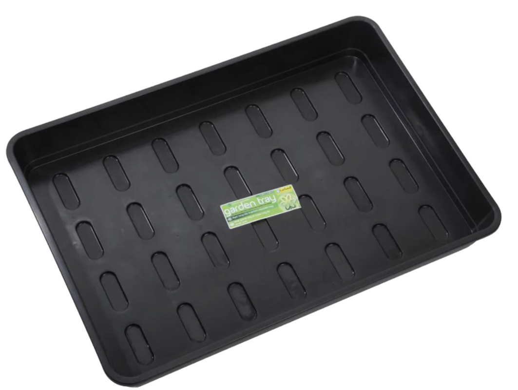 Andermatt Biogarten Aussaatschale medium 37x23x6cm, ohne Löcher (1 Stk)