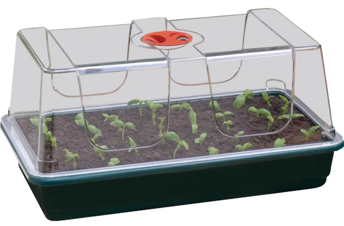 Andermatt Biogarten Set Anzuchthaus gross 58x40x22cm (1 Stk)
