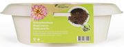 Andermatt Biogarten SchneckenStopp FE elfenbeinfarbig gross, unterer Durchmesser 28cm (1 Stk)