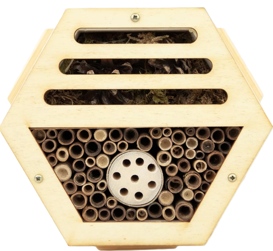 Andermatt Biogarten Insektenmodul Nützlinge (1 Stk)