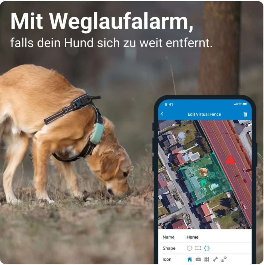 tractive GPS DOG, Grösse XL, grün (1 Stk)