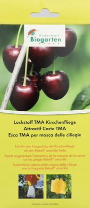 Andermatt Biogarten Kirschenfliegen-Lockstoffkarten (4 Stk)