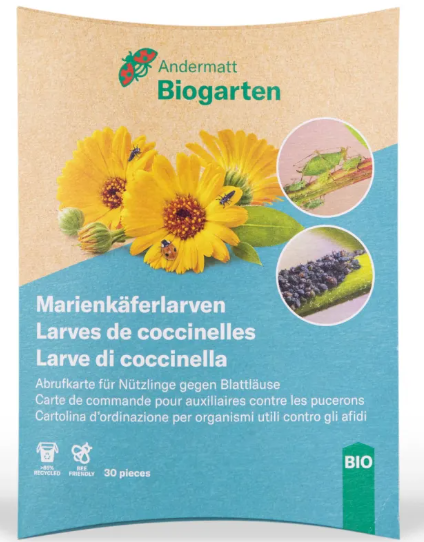 Andermatt Biogarten Abrufkarte 30 Marienkäferlarven (1 Stk)