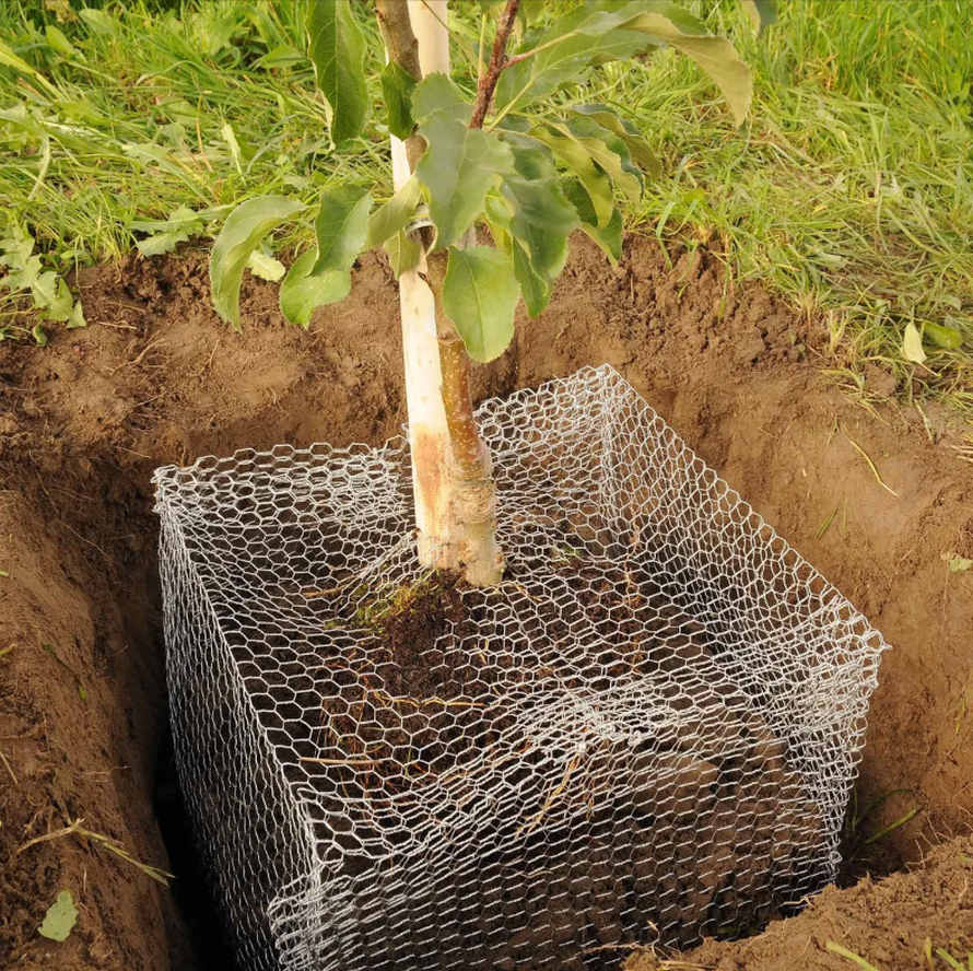 Andermatt Biogarten Root Saver gegen Mäuse 40x40x40cm (1 Stk)