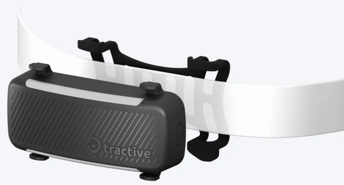 tractive GPS DOG 6 Rubber Clips, schwarz (2 Stk)