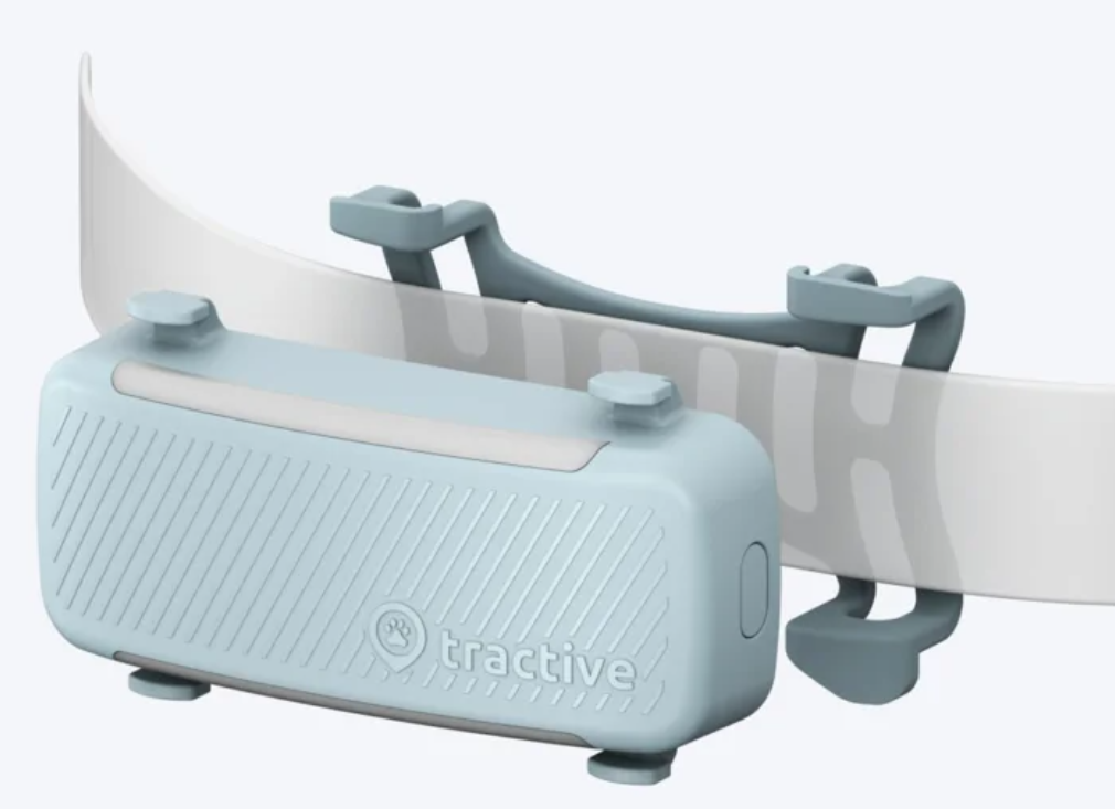 Tractive GPS DOG 6 Rubber Clips, mint (2 Stk)