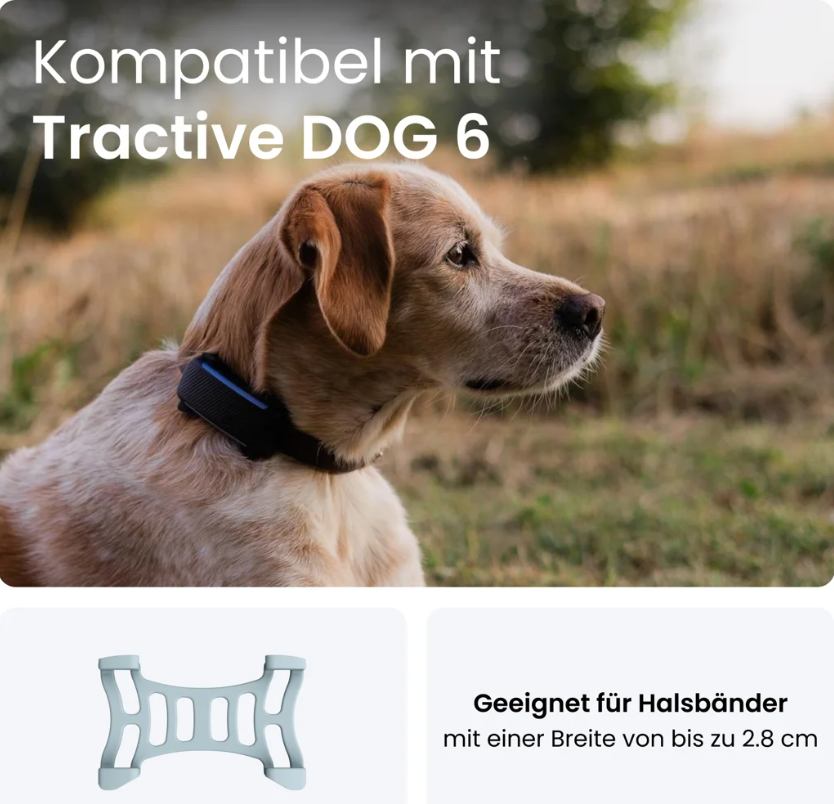Tractive GPS DOG 6 Rubber Clips, mint (2 Stk)