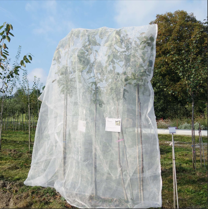 Andermatt Biogarten Drosal Schutznetz Obstbäume Durchmesser 3m (1 Stk)