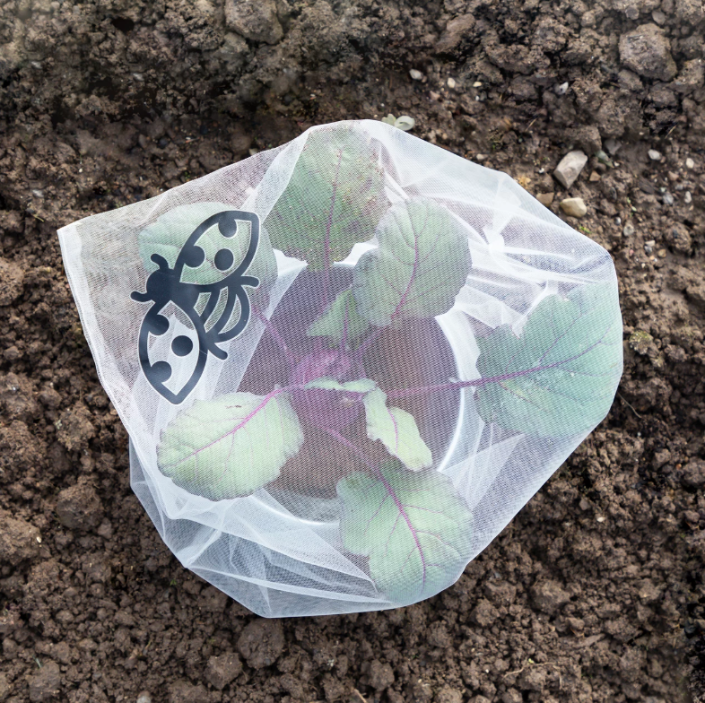 Andermatt Biogarten Insektenschutz-Taschen Gemüse 63x40cm (6 Stk)