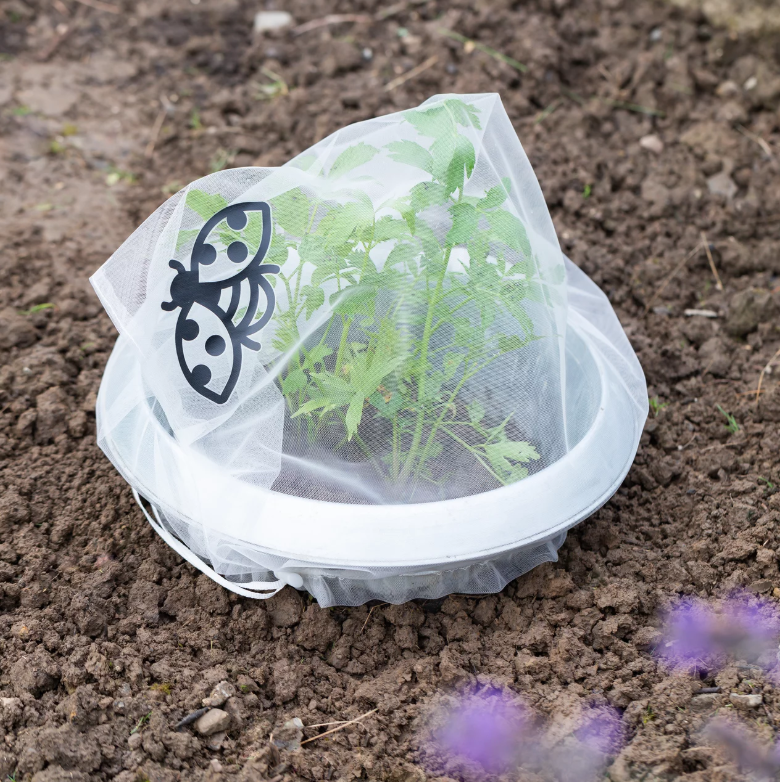Andermatt Biogarten Insektenschutz-Taschen Stauden 63x40cm (6 Stk)