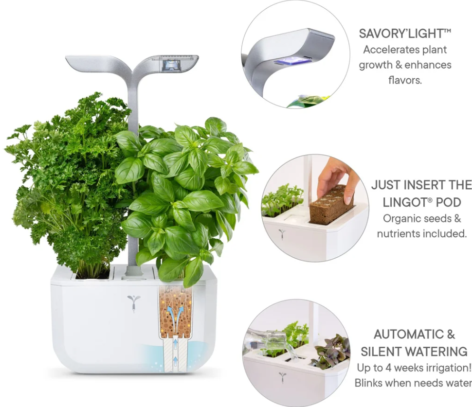 Véritable Exky SMART Indoor-Garten, arctic white (1 Stk)