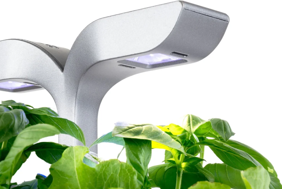 Véritable Exky SMART Indoor-Garten, arctic white (1 Stk)