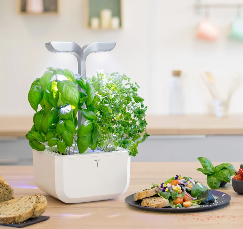 Véritable Exky SMART Indoor-Garten, arctic white (1 Stk)