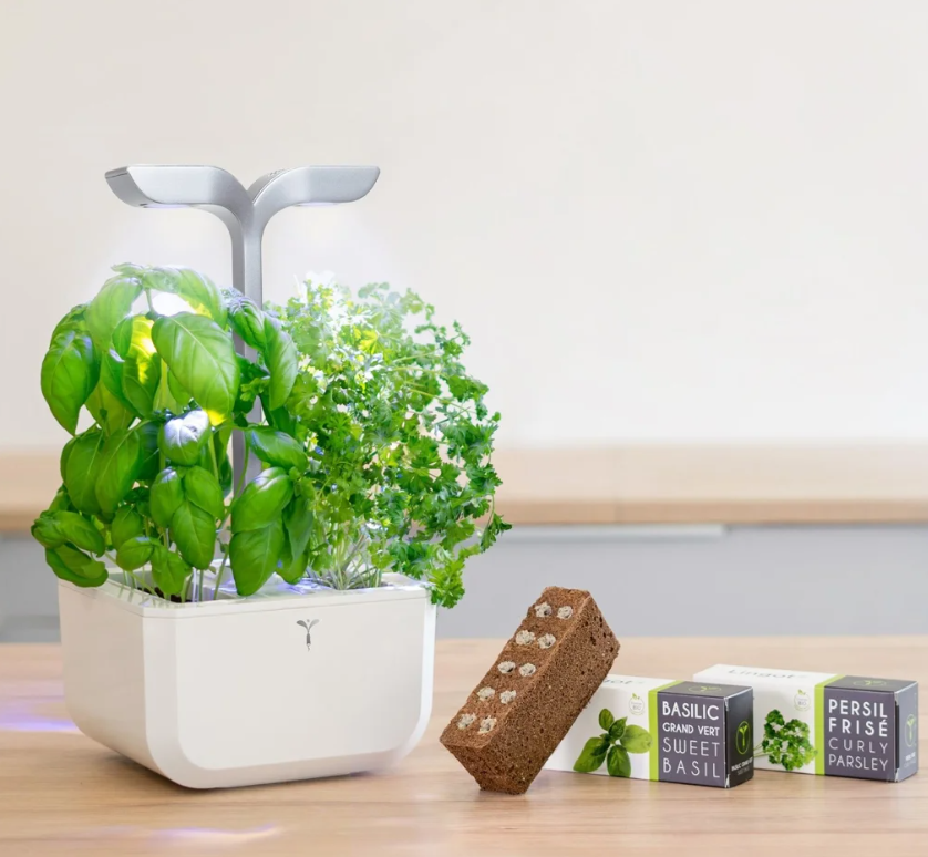Véritable Exky SMART Indoor-Garten, arctic white (1 Stk)