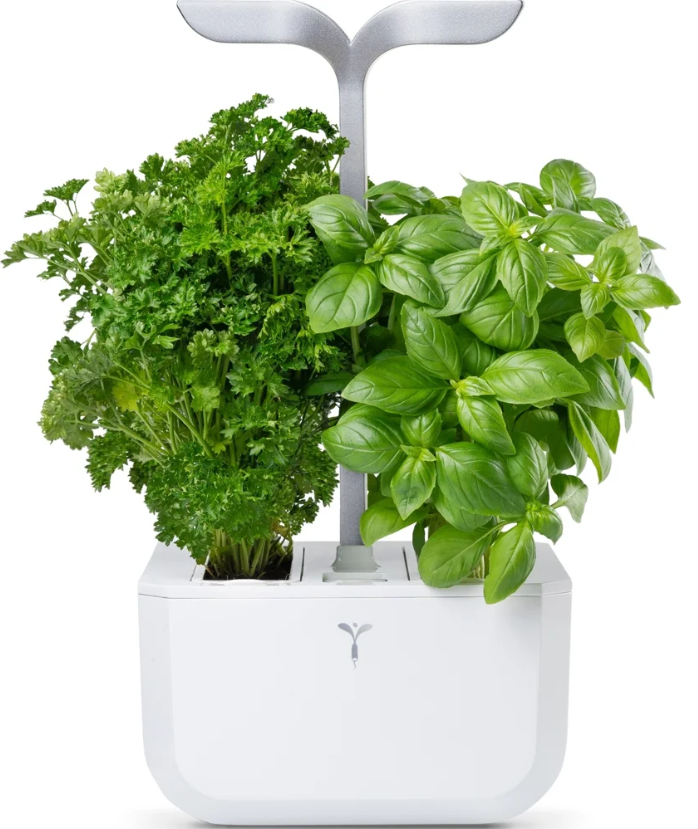 Véritable Exky SMART Indoor Garten, arctic white (1 Stk)