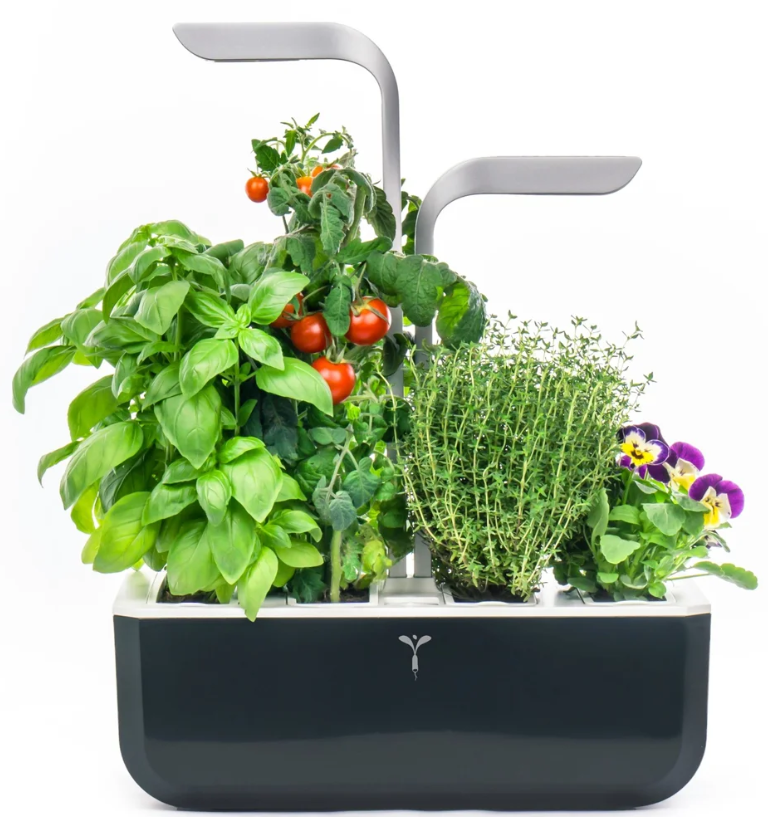 Véritable SMART Indoor-Garten, soft black (1 Stk)