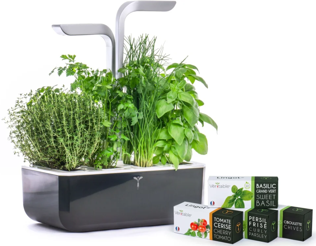 Véritable SMART Indoor-Garten, soft black (1 Stk)