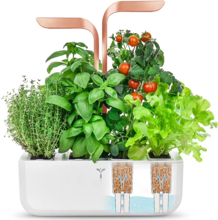 Véritable SMART Indoor-Garten, white copper (1 Stk)