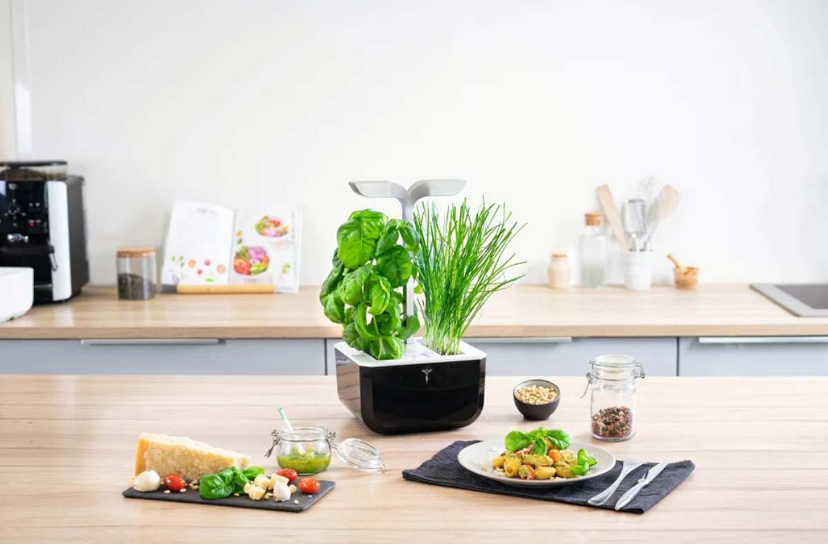 Véritable Exky SMART Indoor-Garten, soft black (1 Stk)