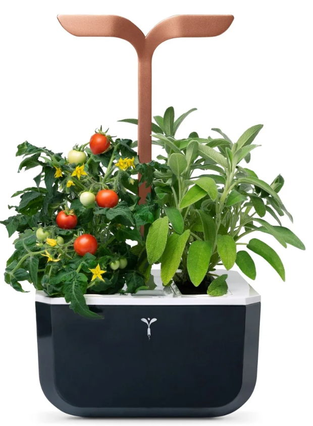 Véritable Exky SMART Indoor-Garten, copper (1 Stk)