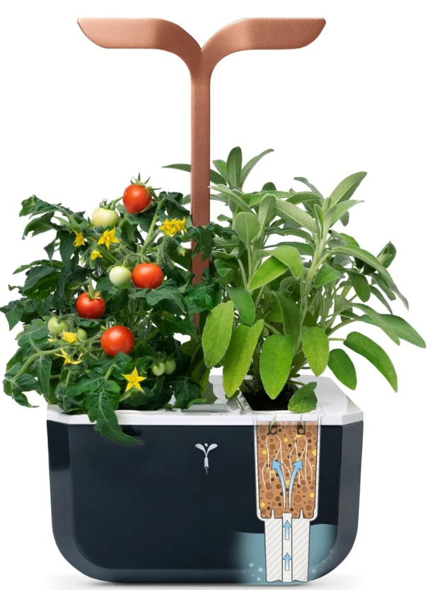 Véritable Exky SMART Indoor-Garten, copper (1 Stk)