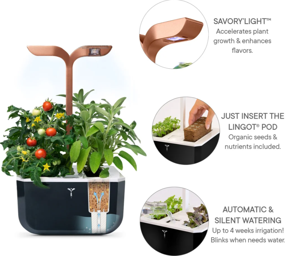 Véritable Exky SMART Indoor-Garten, copper (1 Stk)