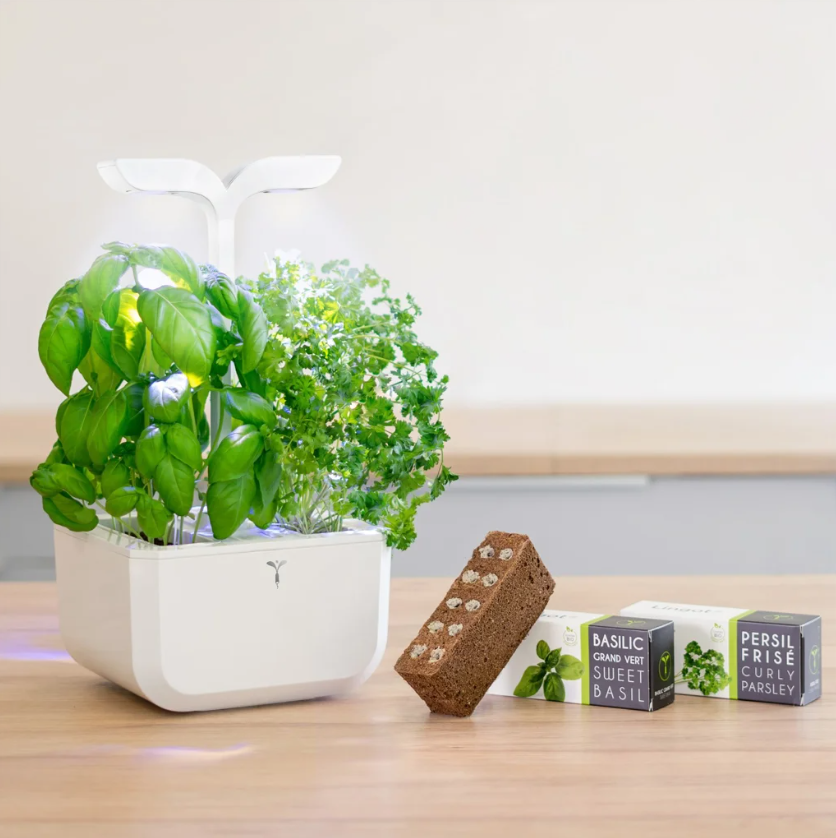 Véritable Exky CLASSIC Indoor-Garten, white (1 Stk)
