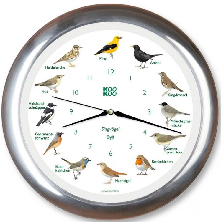 Kookoo Singvögel-Uhr Alu, mit Funkquarzwerk, Durchmesser 34cm (1 Stk)