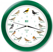 Kookoo Singvögel-Uhr grün, mit Funkquarzwerk, Durchmesser 34cm (1 Stk)