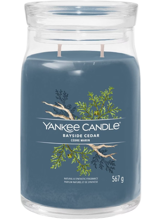 Yankee Candle Bayside Cedar Duftkerze (567g)