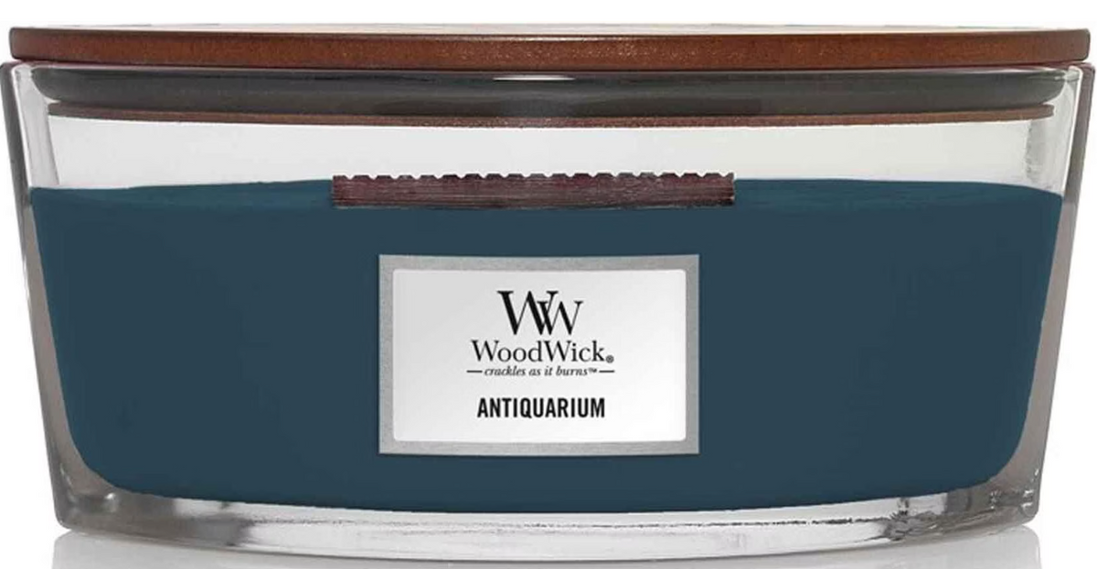 WoodWick Ellipse Duftkerze Antiquarium (454g)