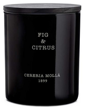 Cereria Mollá Premium Candle Fig & Citrus Duftkerze (230g)