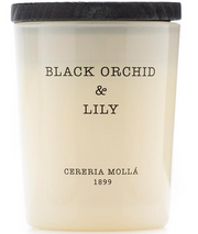 Cereria Mollá Premium Candle Black Orchid & Lily Duftkerze (70g)