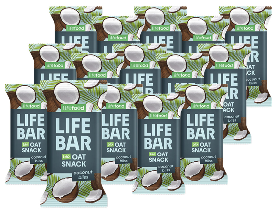 Lifefood Bio Lifebar Riegel Kokosnuss (15x40g)