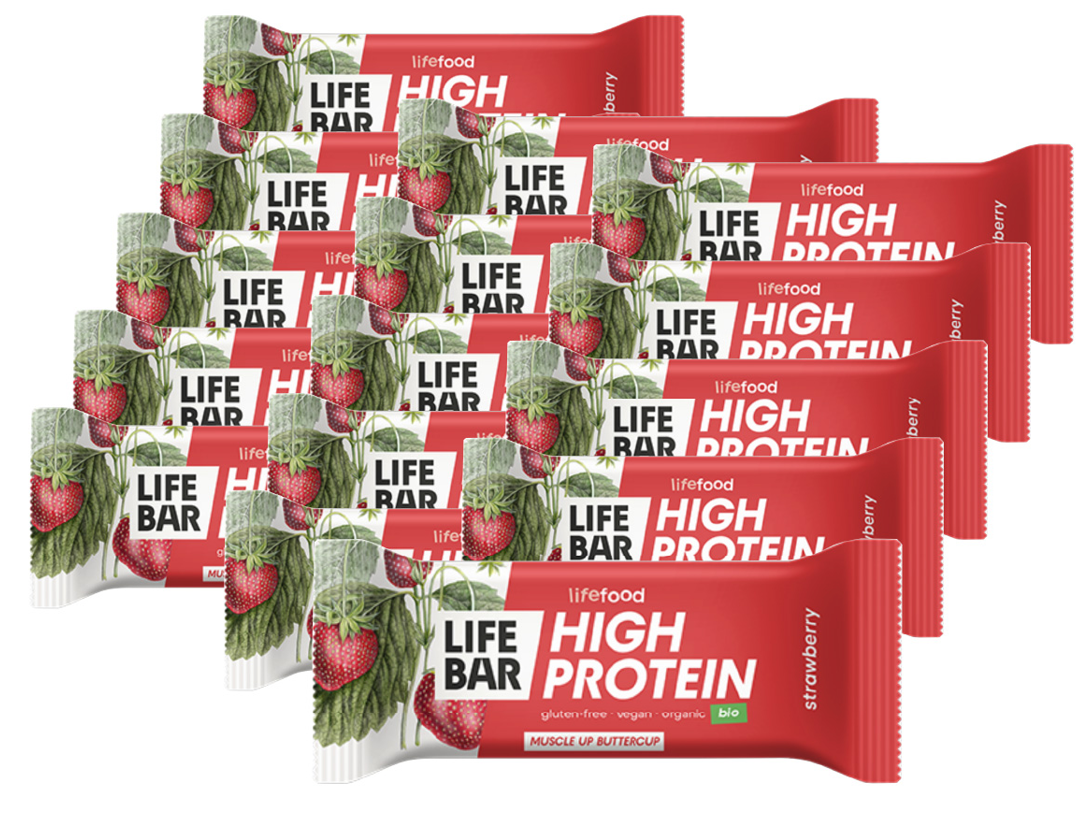 Lifefood Bio Lifebar Protein Riegel Erdbeere (15x40g)