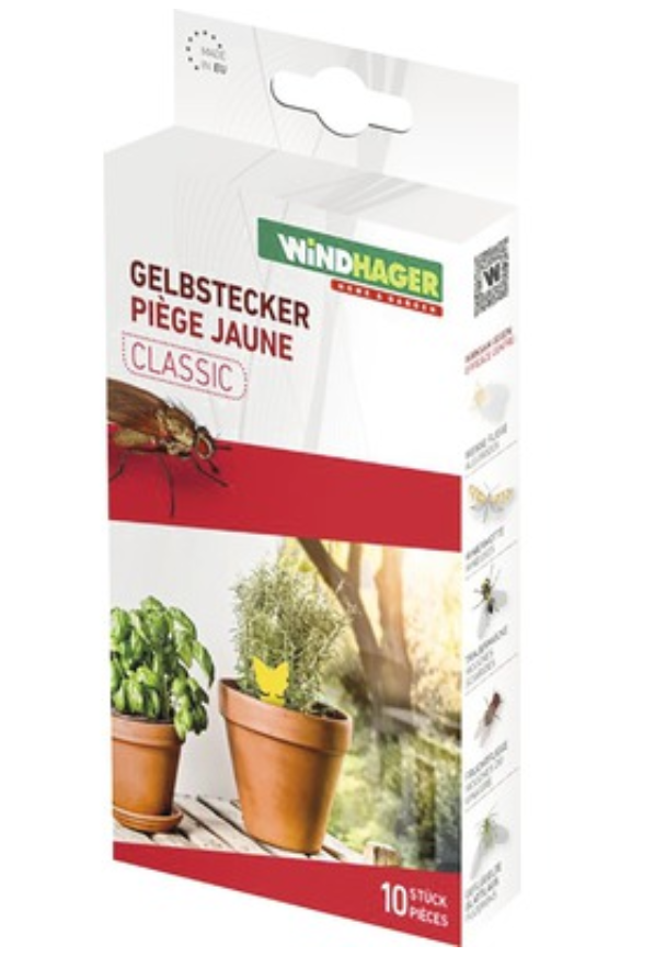 Windhager Gelbstecker Classic 8x13cm (10 Stk)