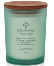 Chesapeake Bay Candle Balance & Harmony Duftkerze (250g)