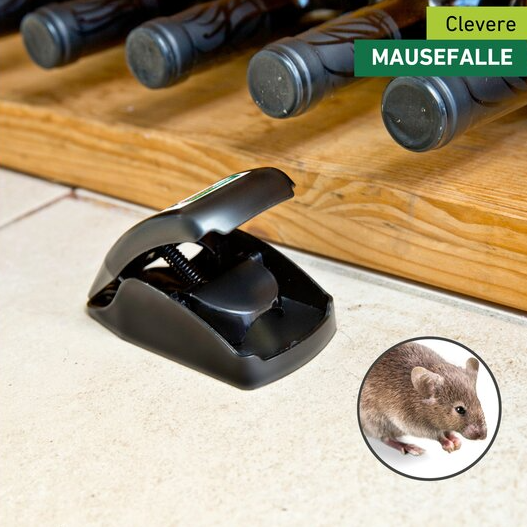 Windhager Mausefalle SNAP (2 Stk)