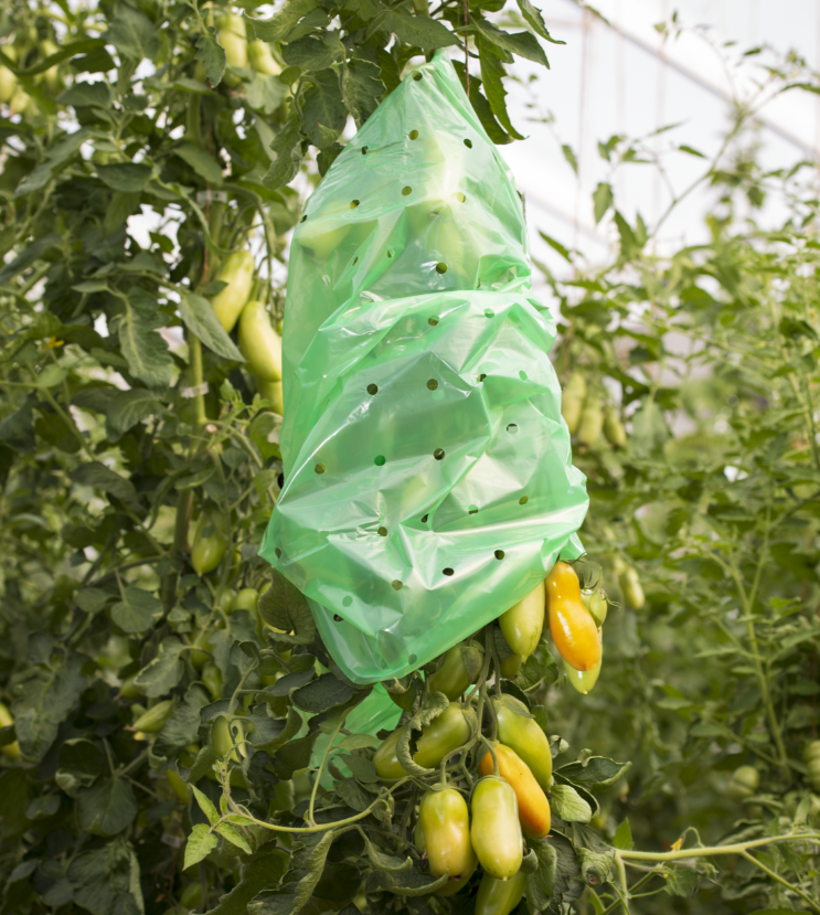 Windhager Tomaten-Folien-Schlauch STRONG, 10x0.75m (1 Stk)
