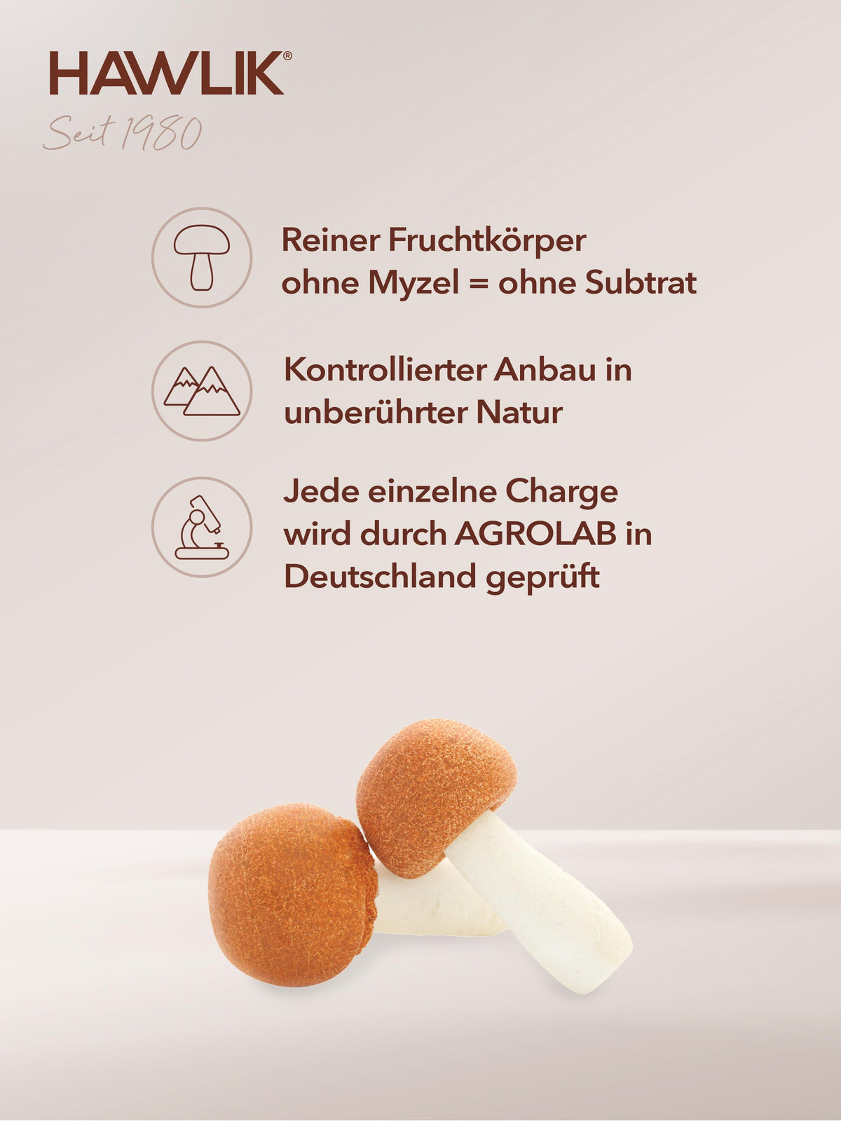 HAWLIK Agaricus Pulverkapseln (250 Stk)