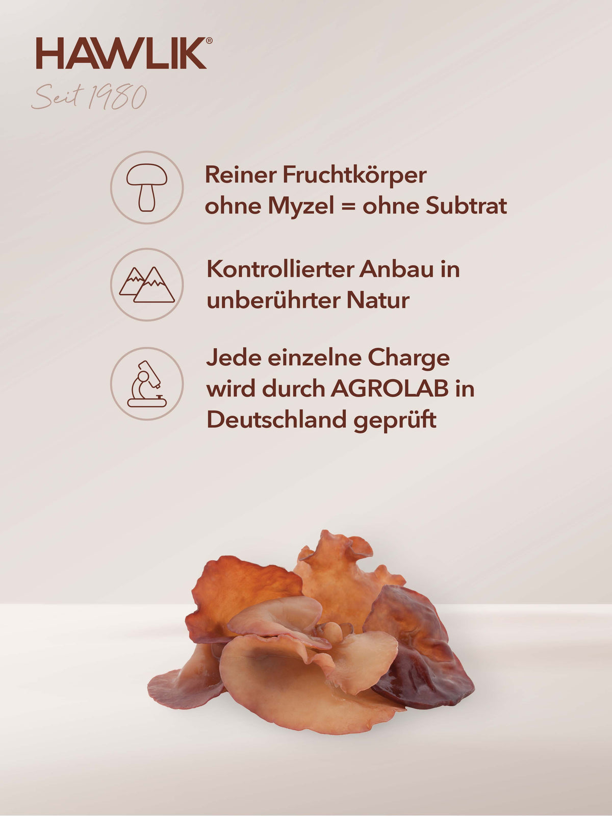 HAWLIK Auricularia Extrakt Kapseln (60 Stk)