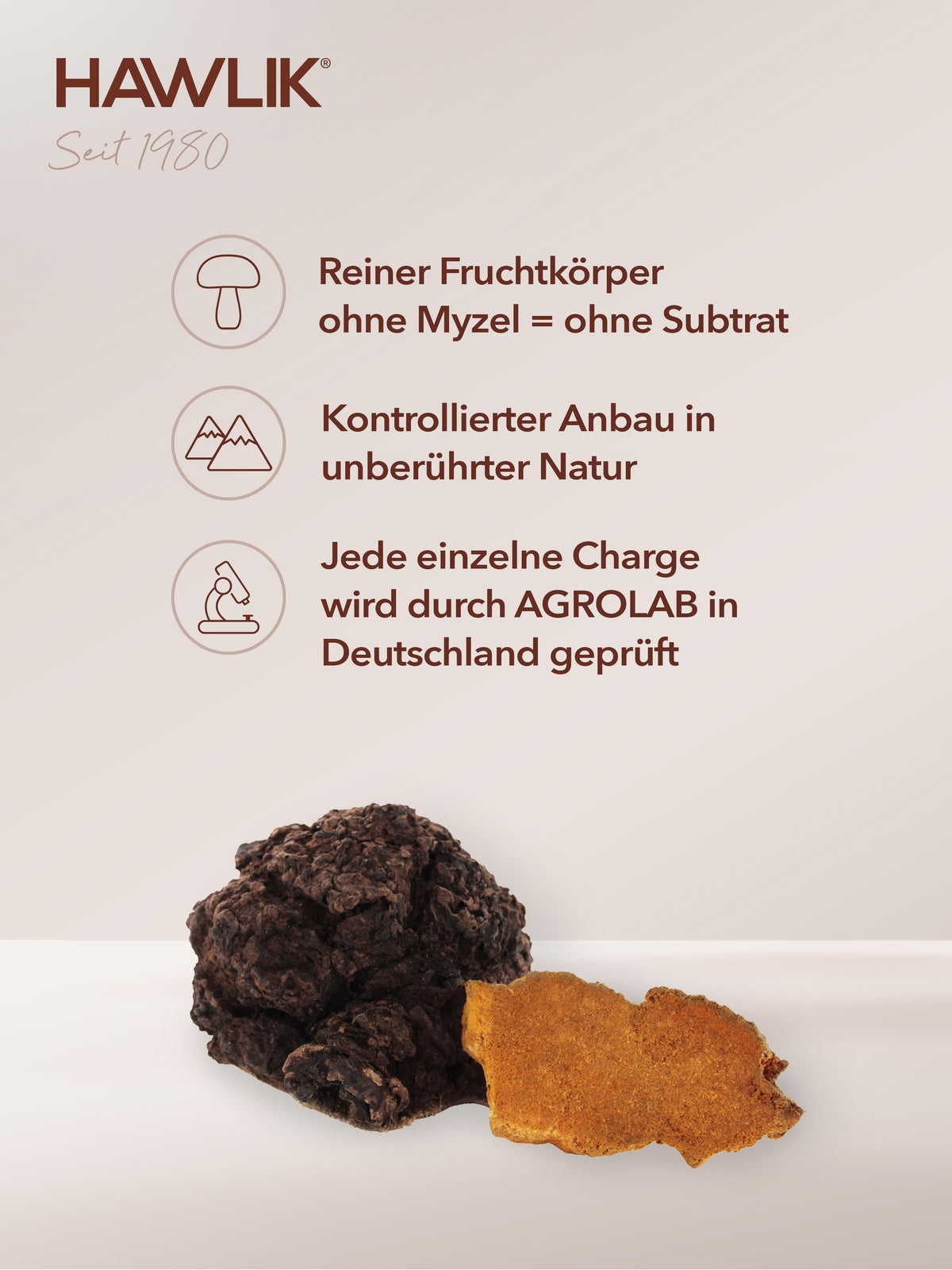 HAWLIK Chaga Extrakt Kapseln (60 Stk)