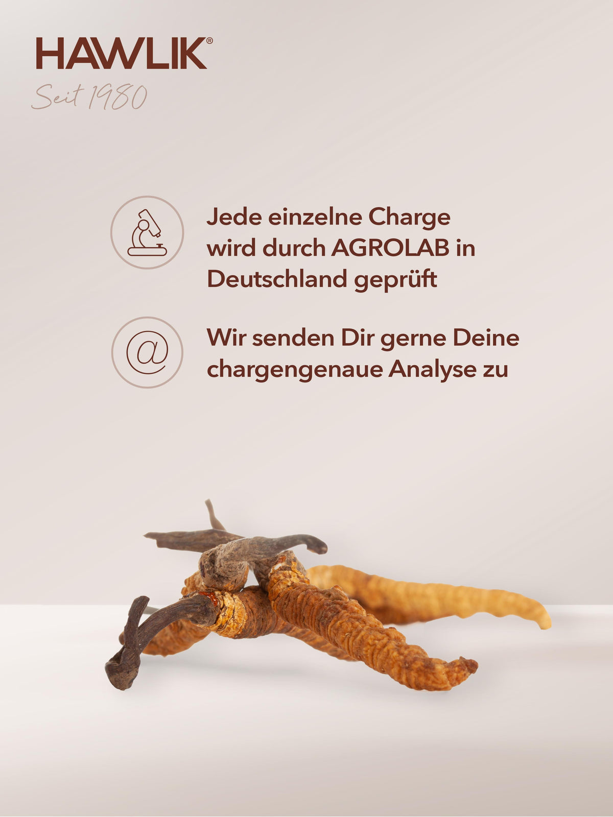 HAWLIK Cordyceps Pulverkapseln (250 Stk)