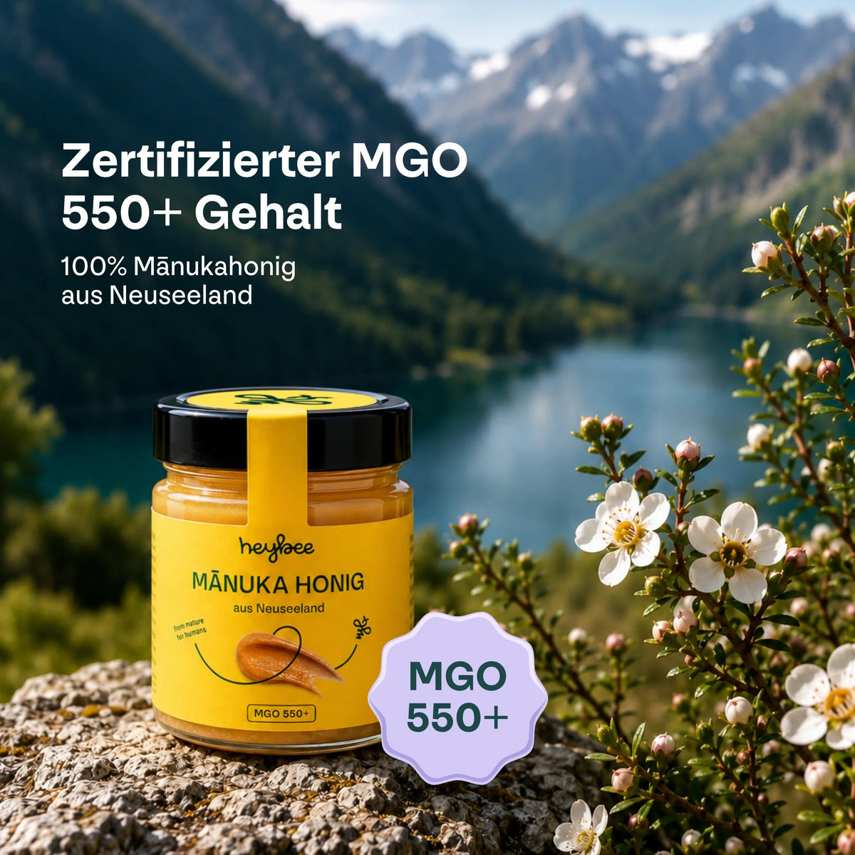 heybee Manuka Honig MGO 550+ (250g)