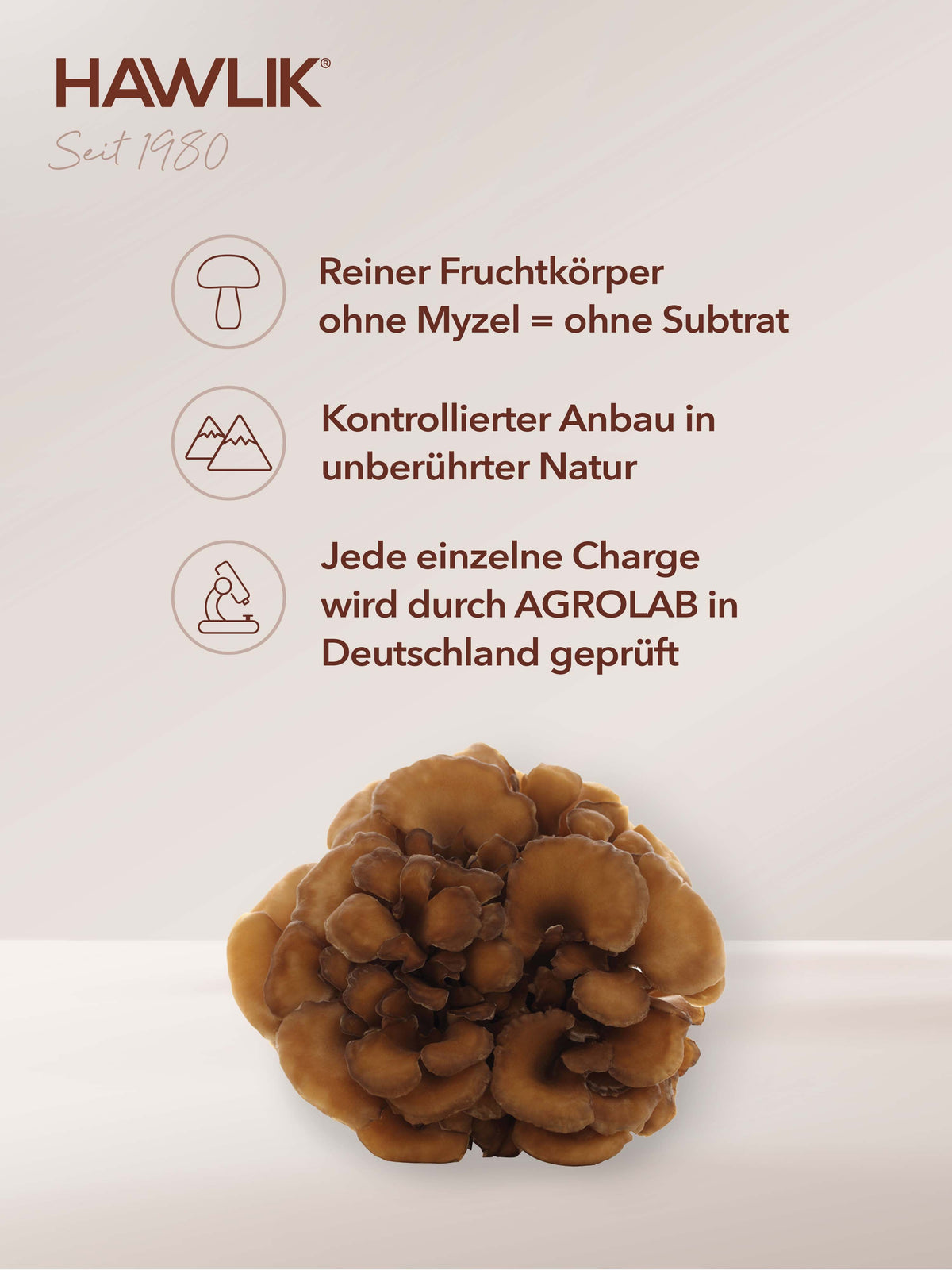 HAWLIK Maitake Extrakt Kapseln (60 Stk)