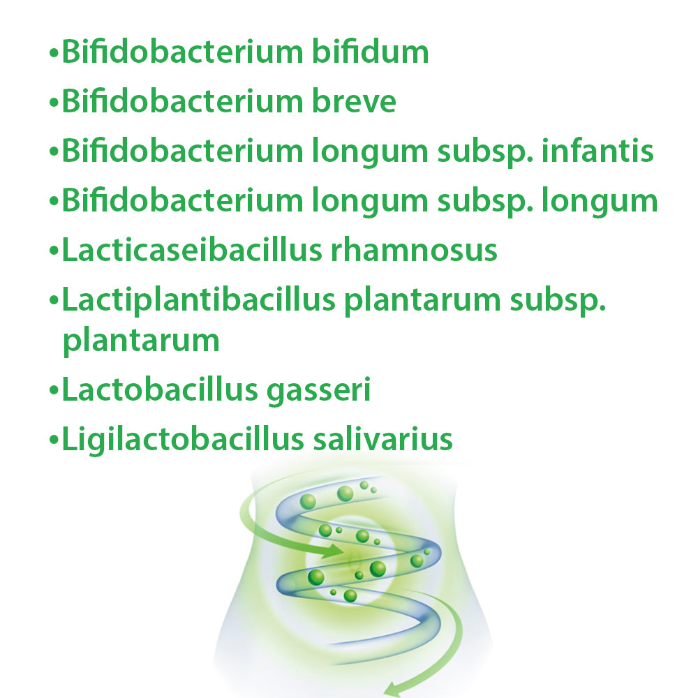 Dr. Jacobs LaktoBifido Darmflora Kapseln vegan (90 Stk)