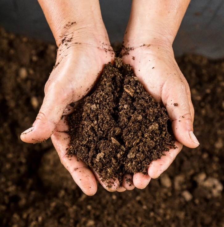 Acceleratore del compost Andermatt Biogarten (1kg)