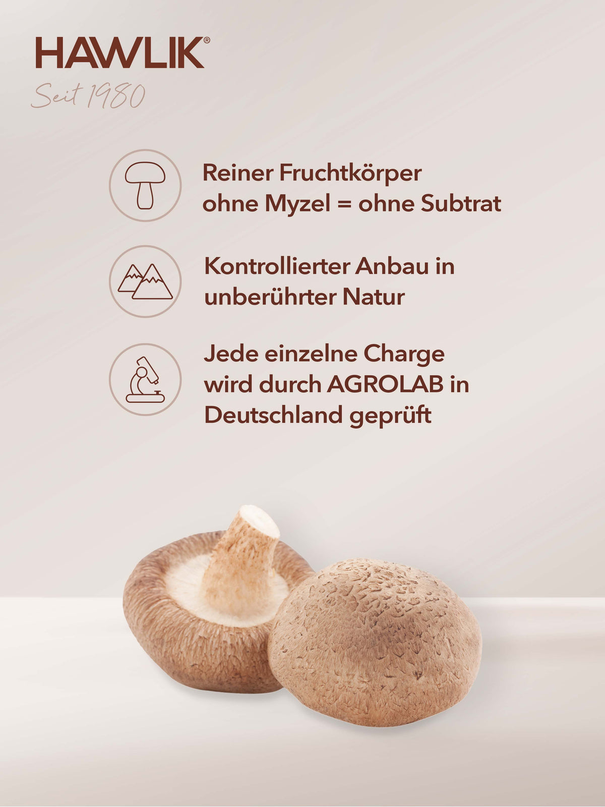 HAWLIK Shiitake Pulverkapseln (250 Stk)