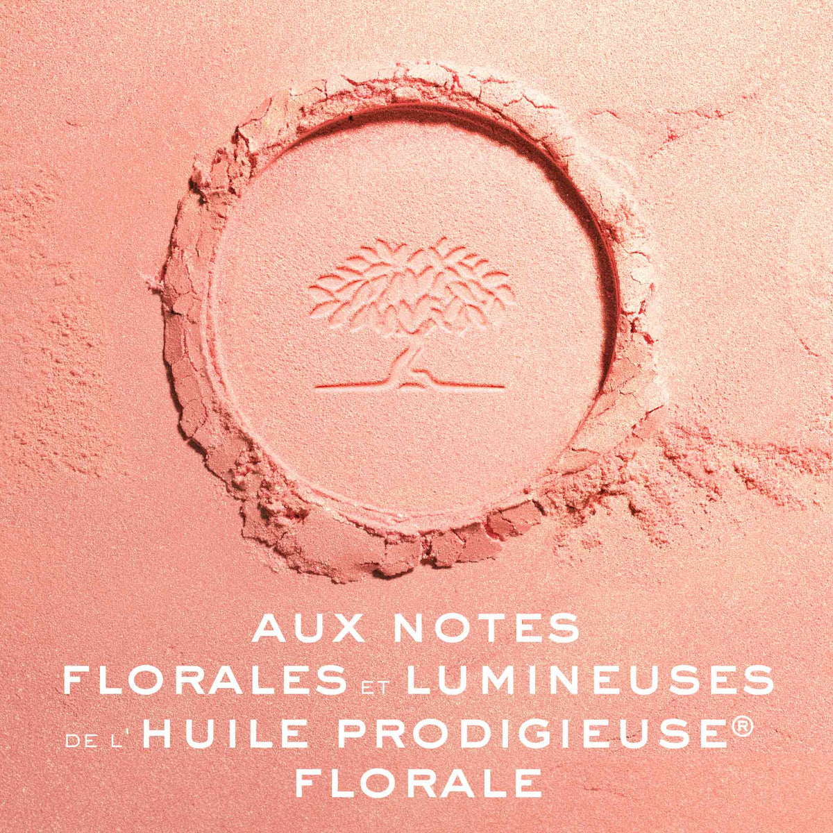 NUXE Prodigieux Multifunktions-Puder aufhellend (9.5g)